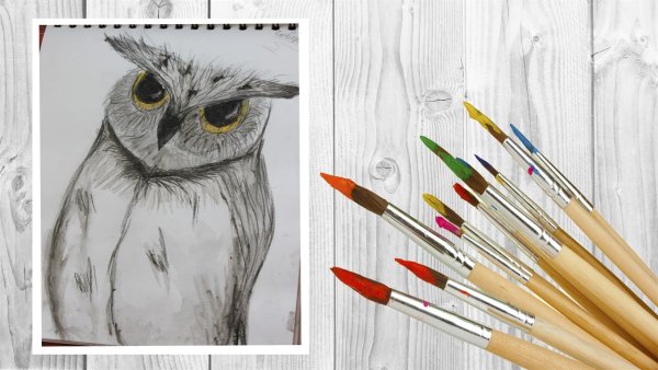 Сова рисунок для срисовки фломастерами