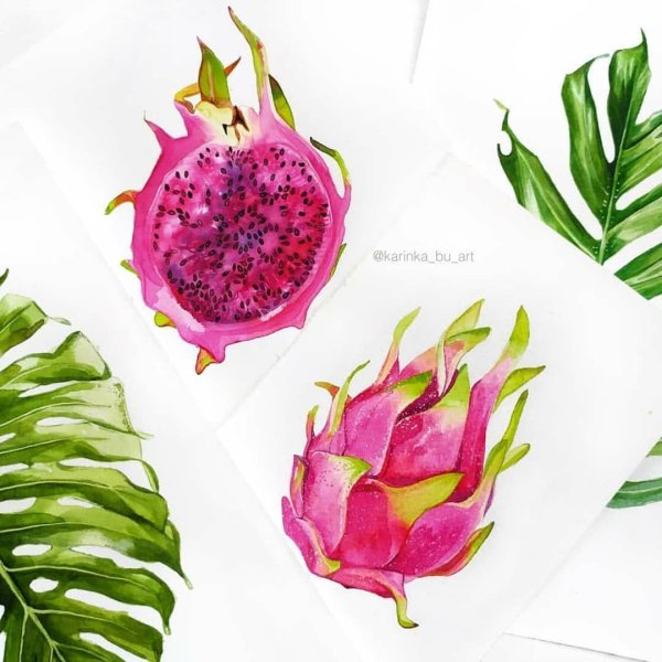 Драгон фрукт маркерами