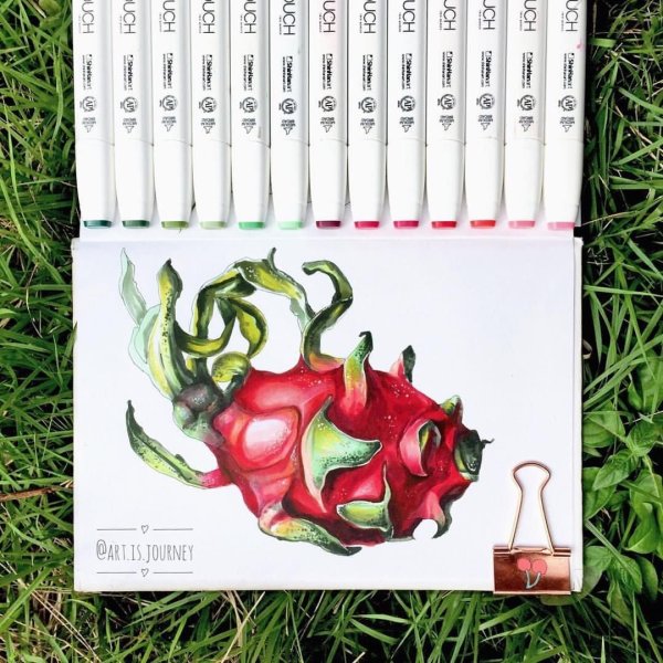 Рисунки фруктов фломастерами