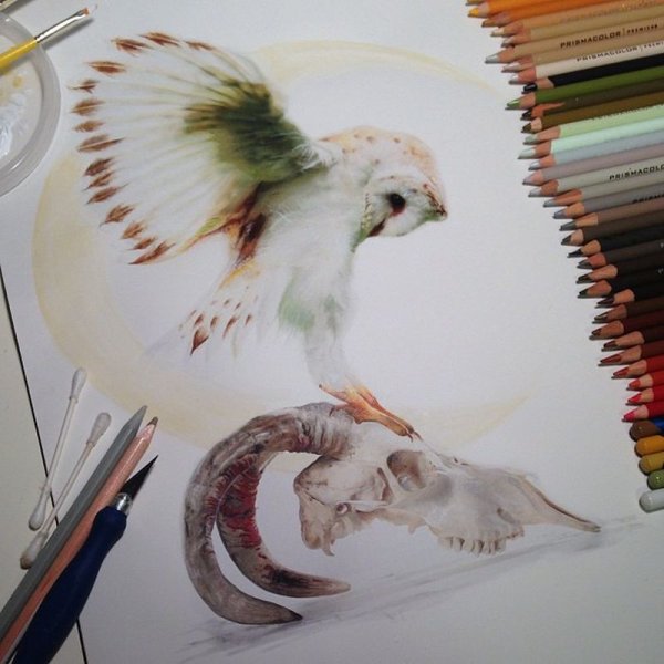 Карла Миалинн рисунки