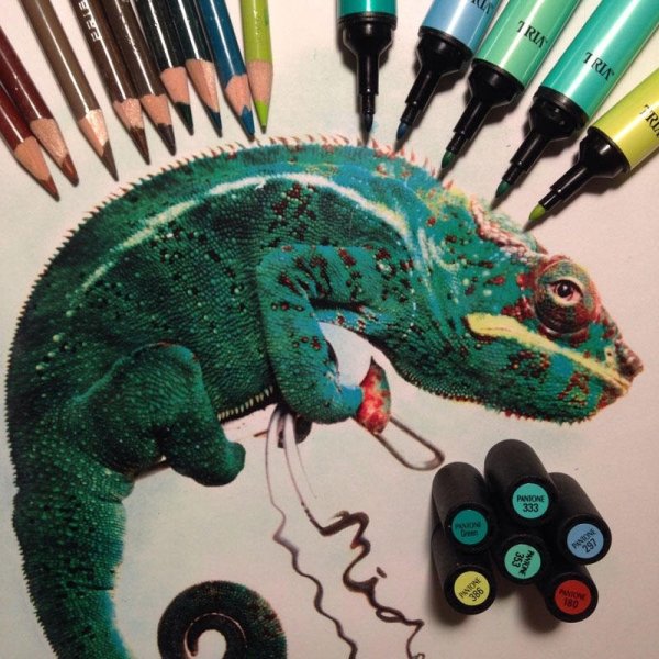 Художник Карла Миалинн