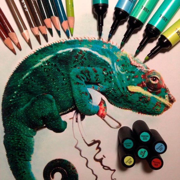 Красивые рисунки маркерами