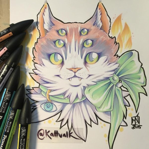 Кошка фломастерами