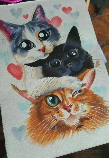 Кошка фломастерами