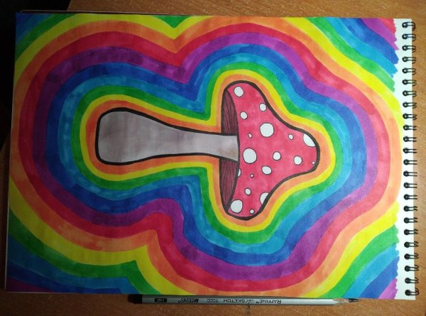 Хиппи инди КИД