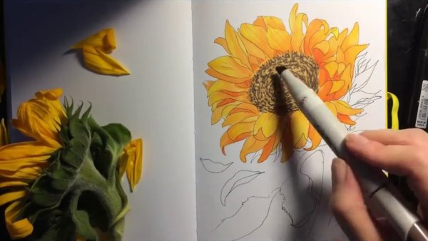Подсолнухи фломастерами