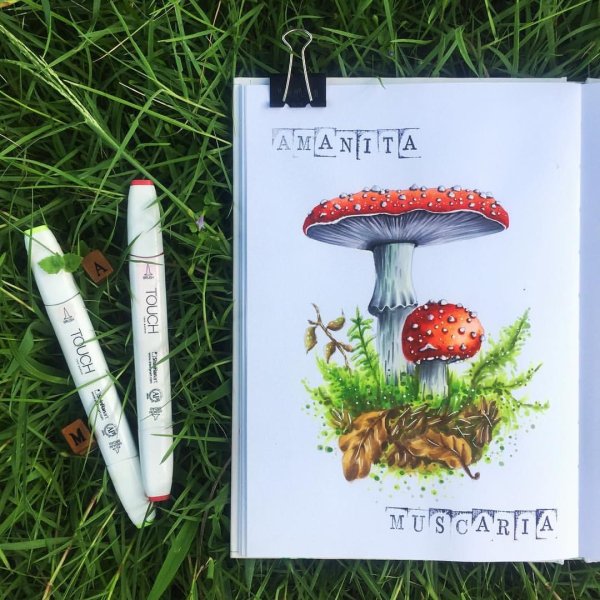 Мухомор скетч маркерами