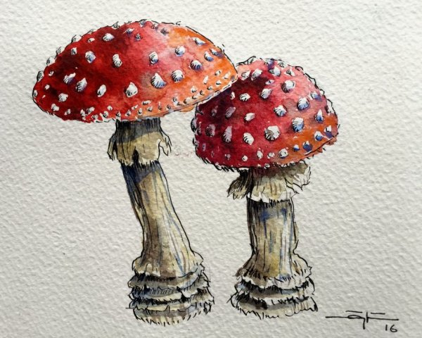 Мухомор арт