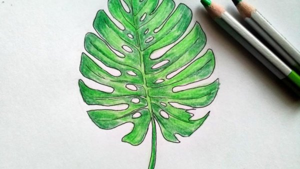 Красками в скетчбуке