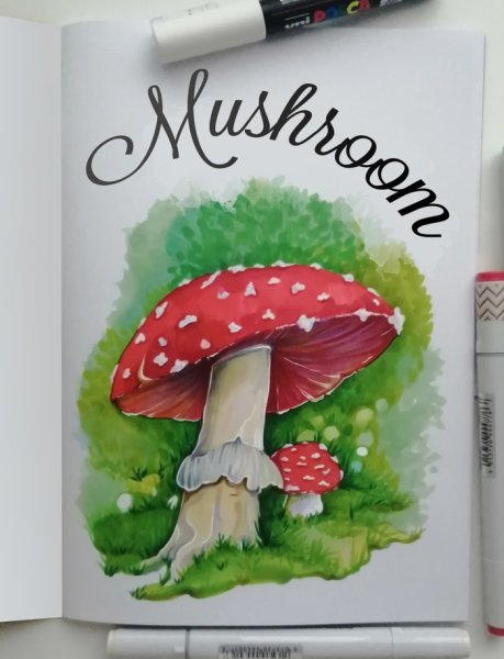 Мухомор рисунок маркерами