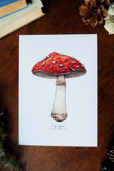 Мухомор с глазами