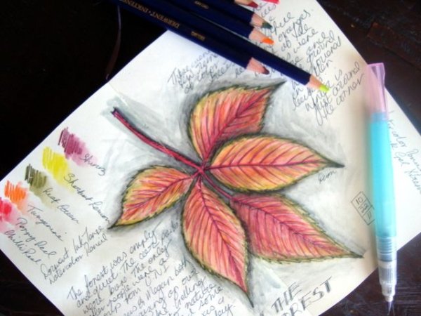 Скетчинг листья