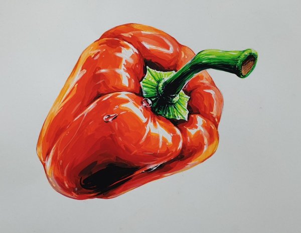 Рисунки фруктов для срисовки