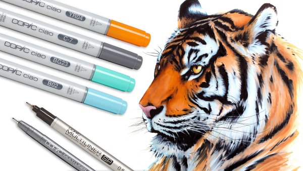 Тигр скетч маркерами