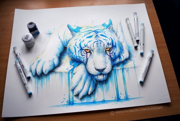 Кот фломастерами