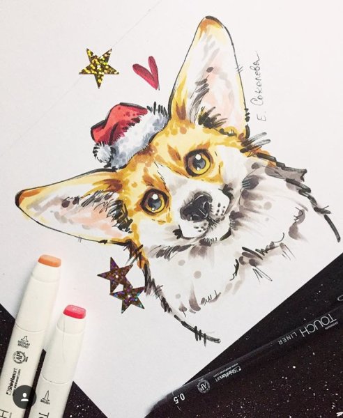 Животные маркерами