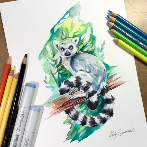 Рисунки Копик маркерами Lighane звери