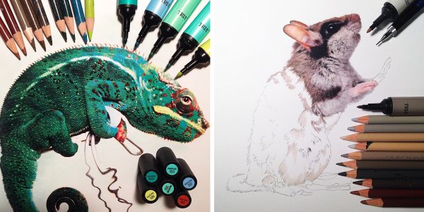 Лев скетчинг