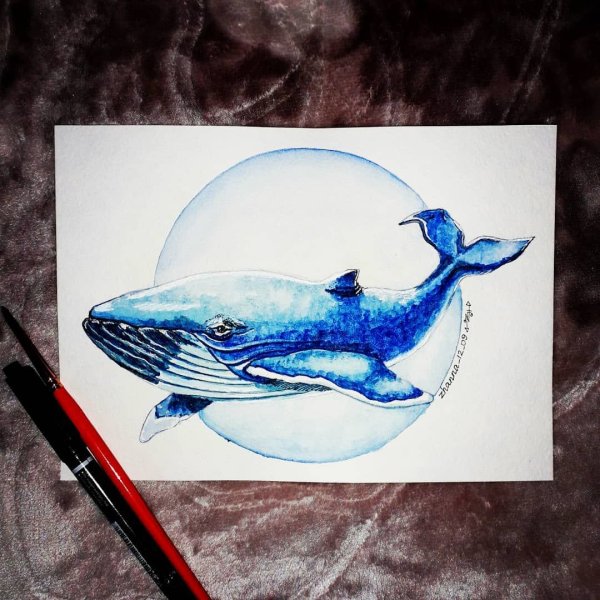 Кит скетч акварелью