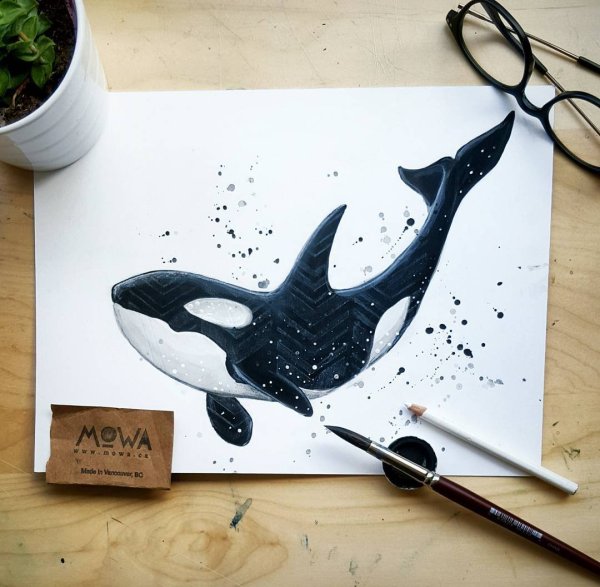 Рисунки для скетчбука кит