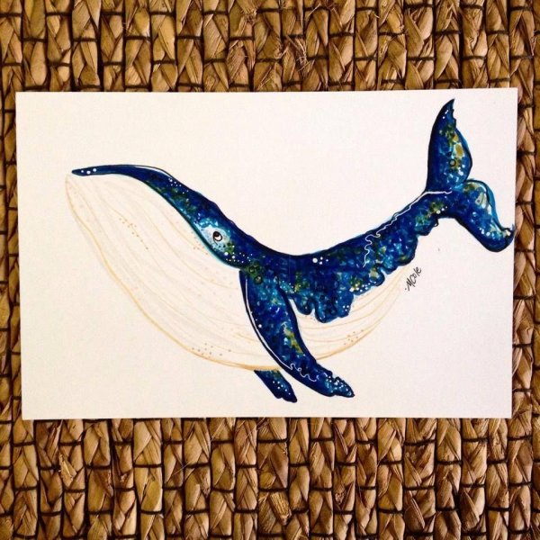 Мастер класс по рисованию кита