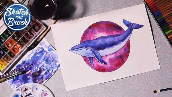 Акварельный скетч кит