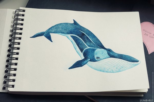 Скетчбук кит синий