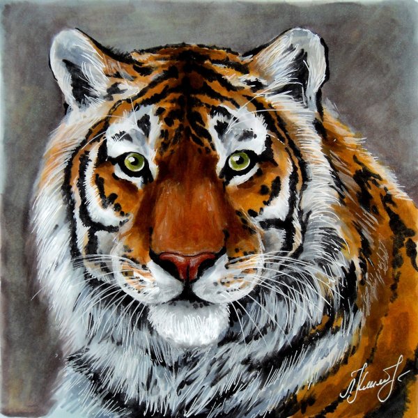 Тигр фломастерами