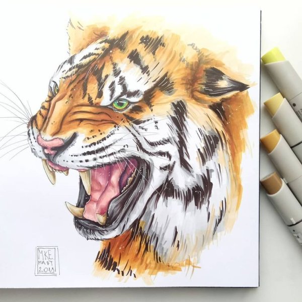 Красивые рисунки животных