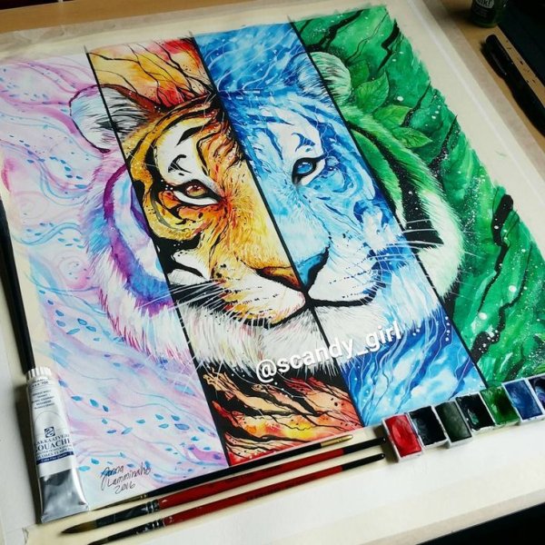 Тигр разрисованный