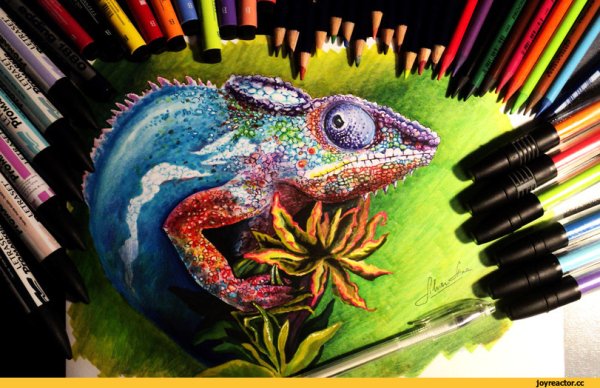 Рисунки фломастерами