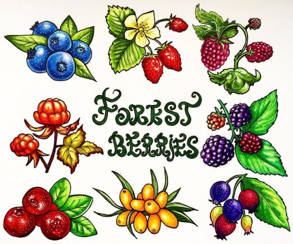 Ягоды скетч маркерами