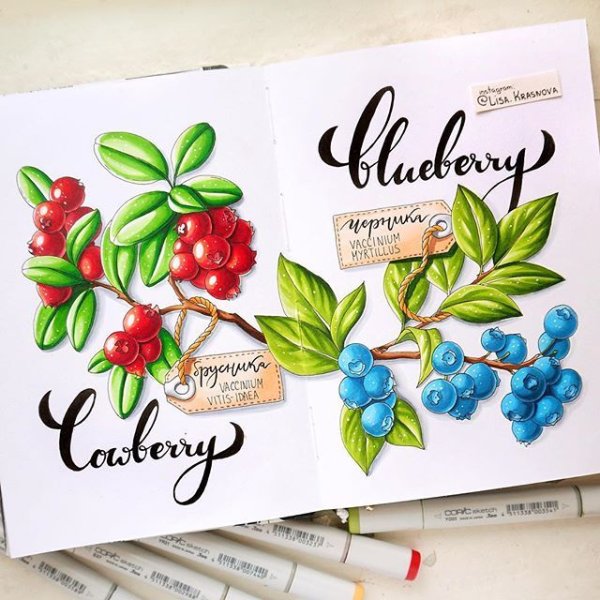 Ягоды маркерами