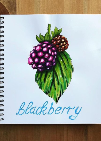 Фрукты и ягоды скетч маркерами