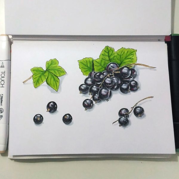 Скетчинг фрукты