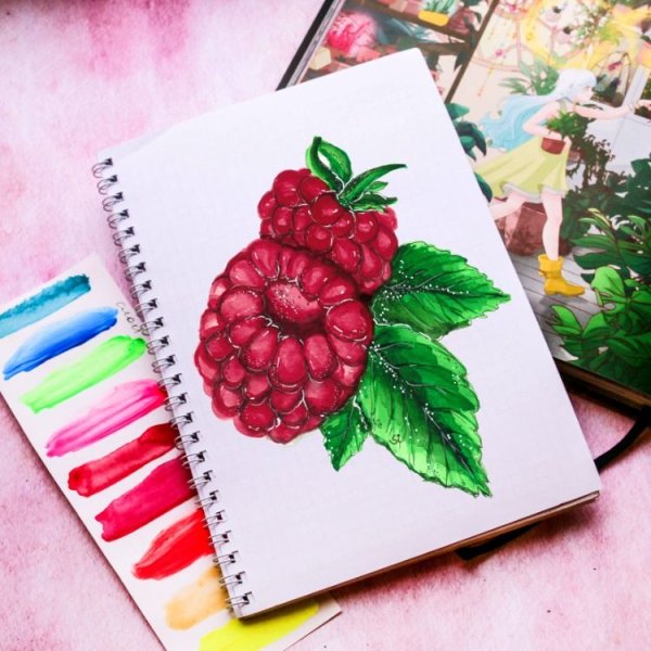 Ягоды скетч