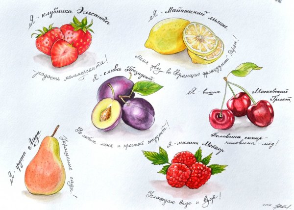 Ягоды скетч