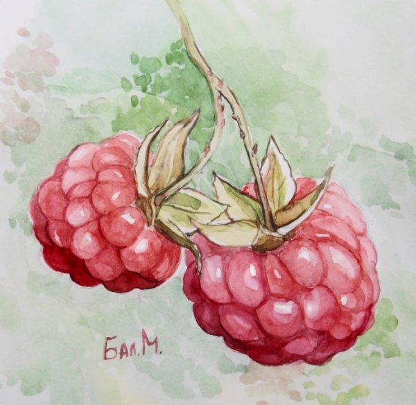 Рисунки маркерами ягоды