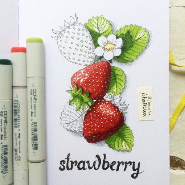 Фрукты скетч маркерами