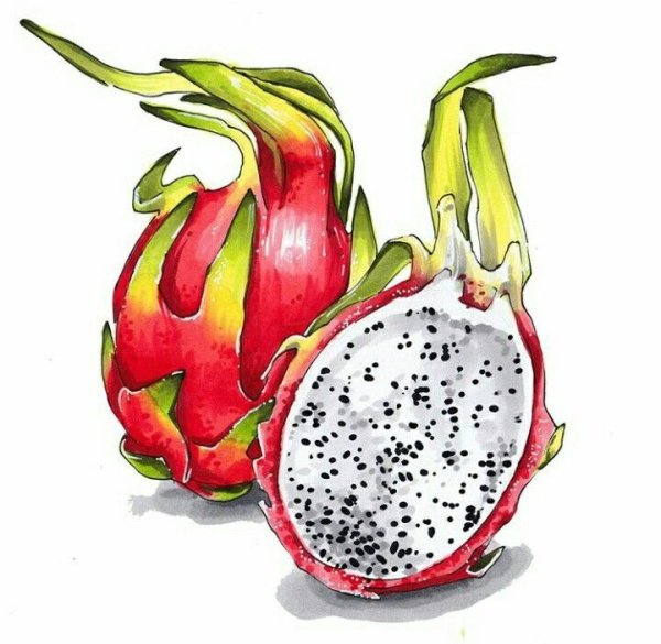 Черника маркерами