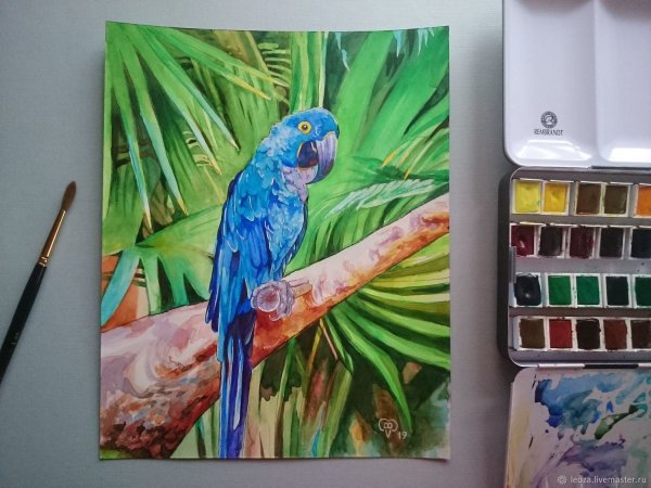 Попугай маркерами