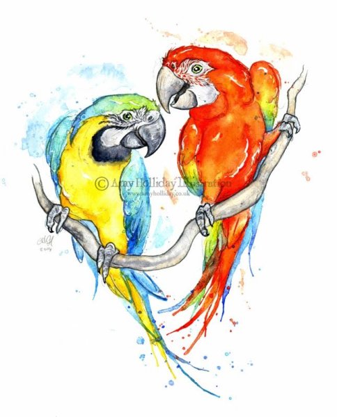 Попугай цветными карандашами