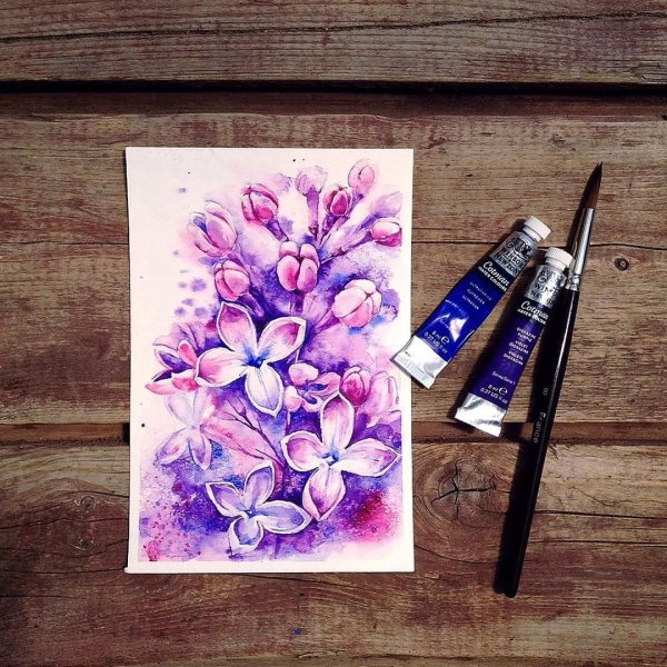 Скетчинг сирень