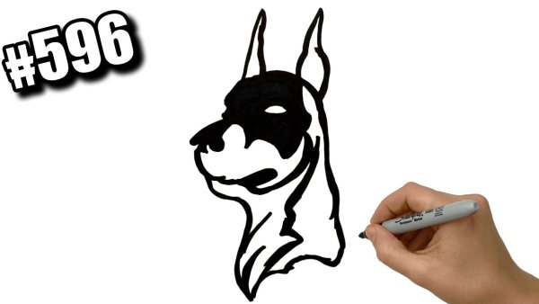 Собака черным маркером
