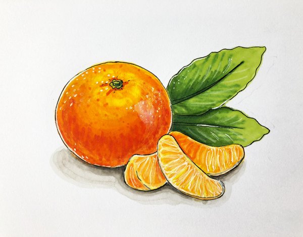 Апельсин рисунок