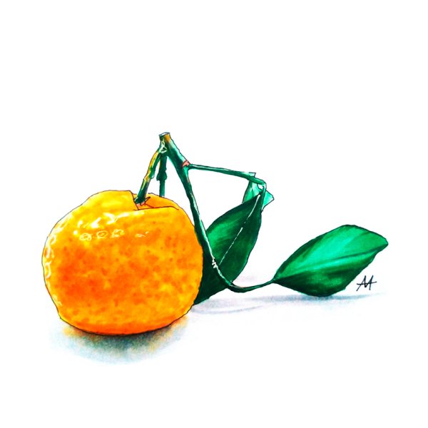 Мандарин скетч