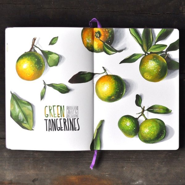 Мандарин скетч маркерами