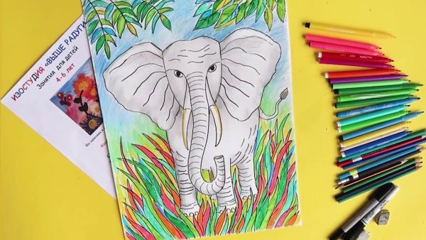 Рисунки маркерами слоники