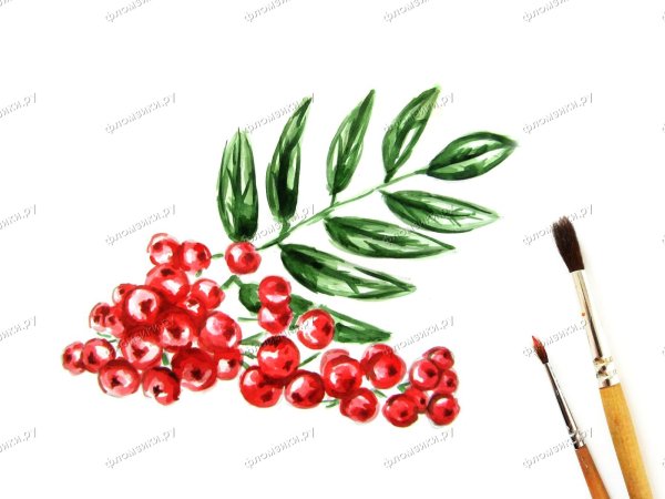 Рябина фломастерами