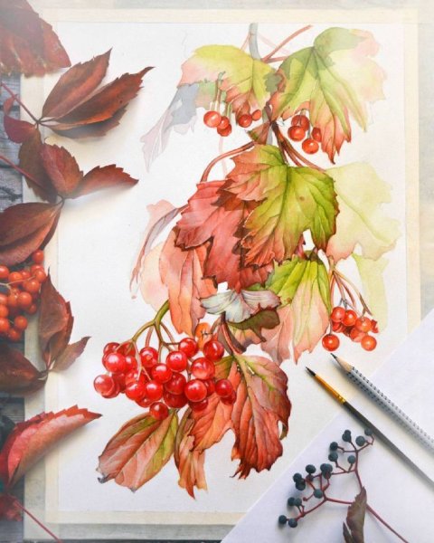 Вишня рисунок маркерами